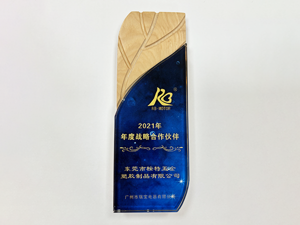 2021年年度战略合...